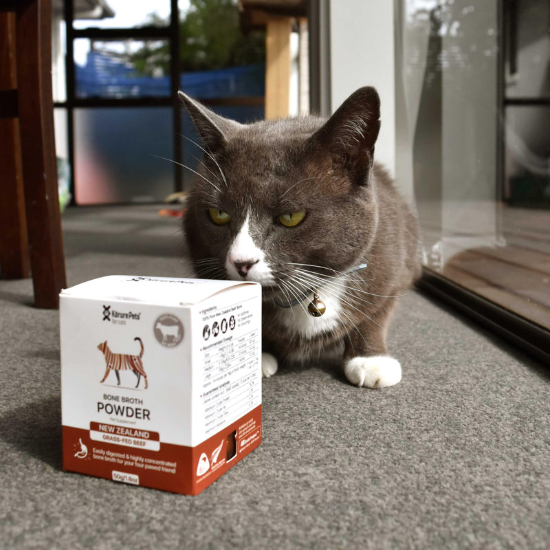 Beef Bone Broth Powder for Cats- All-Natural Supplement for Bone Health and Digestion