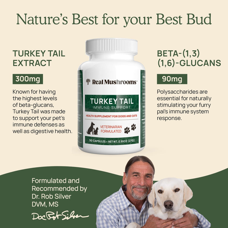 Turkey Tail Pet Support - Dog Multivitamins and Supplements for Immune Support, Gut Health & Wellness - Grain-Free, Gluten-Free, Vet-Approved Dog Supplement (90ct) Turkey Tail Mushrooms Pet