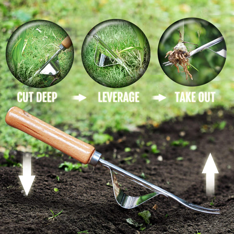 Betus Manual Hand Weeder - Bend-Proof Leverage Base for Super Easy Weed Removal & Deeper Digging - Sturdy Chrome Plated Steel - Compact Garden Weed Puller Tool for Yard Lawn and Farm - NewNest Australia