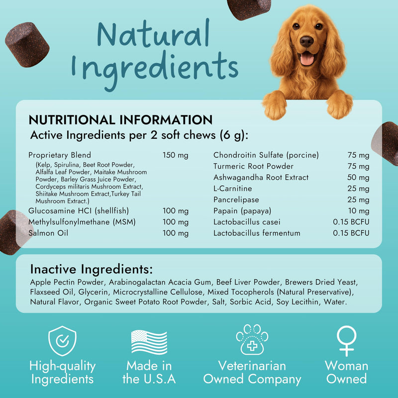 Pet Vet Multi Soft Chews for Dogs (Beef Liver, 60 Chews) – Multi, Probiotics for Digestive Health – Glucosamine, Skin Supplement – Immune Support, Supplements