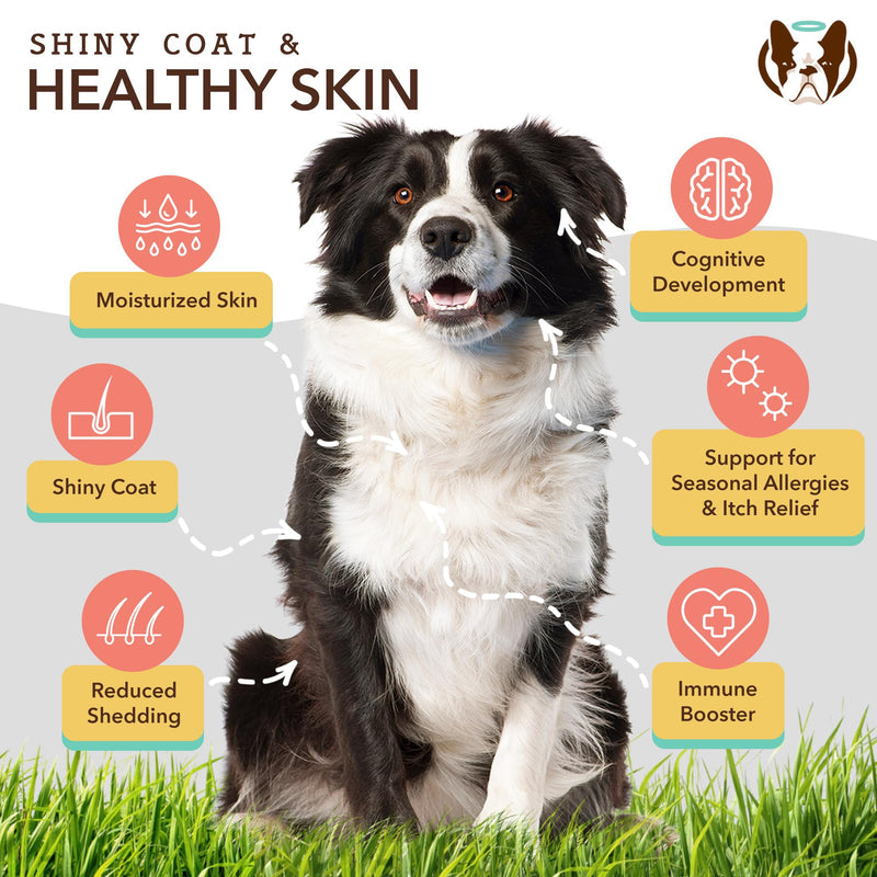 Natural Dog Company Multivitamin Supplement Chews + Skin & Coat Supplement Chews for Dogs - Comprehensive Nutritional Care for Healthy Skin, Shiny Coat, Joint Support, and Immune System Boost - PawsPlanet Australia