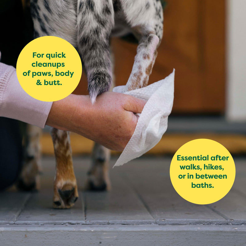 Earth Rated Ear Wipes & Grooming Wipes Bundle - Includes 60 Wild Oat-Scented Pet Ear Wipes and 100 Lavender-Scented Grooming Wipes.