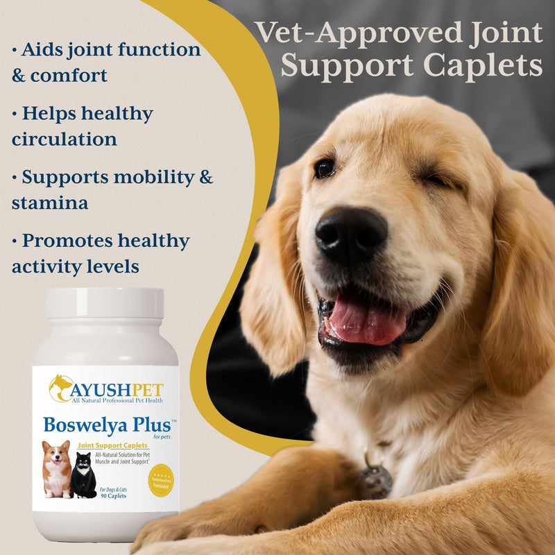Ayush Pet Boswelya Plus, Joint and Muscle Support for Pets, Ayurvedic Pet Supplement with Boswellia, Ginger, and Bromelain, Large or Small Animals, 90 Vegetarian Caplets - PawsPlanet Australia