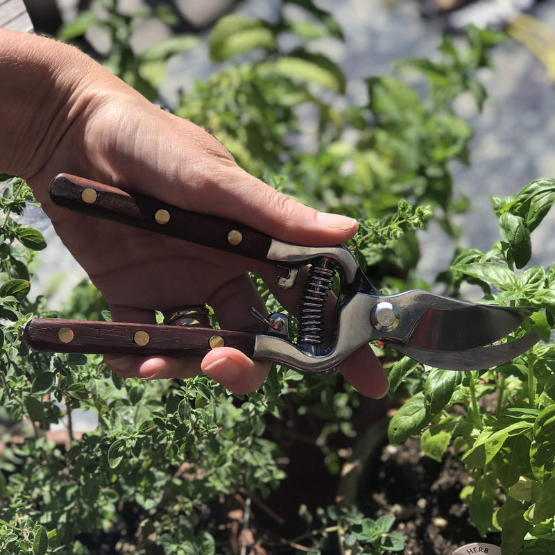 Thai Kitchen Scissors and Pruning Shears for Gardening by Verve CULTURE, Handcrafted, Multipurpose with Stainless Steel Blades & Pradu Wood Handles