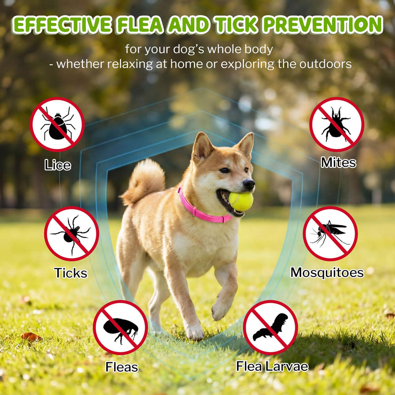 Flea and Tick Collar for Dogs, Dog Collars with Natural Essential Oils, Waterproof, Adjustable Size for Small Medium and Large Dog, Flea Prevention and Tick Control for Puppies(2 Pack,Pink) 1 Pink
