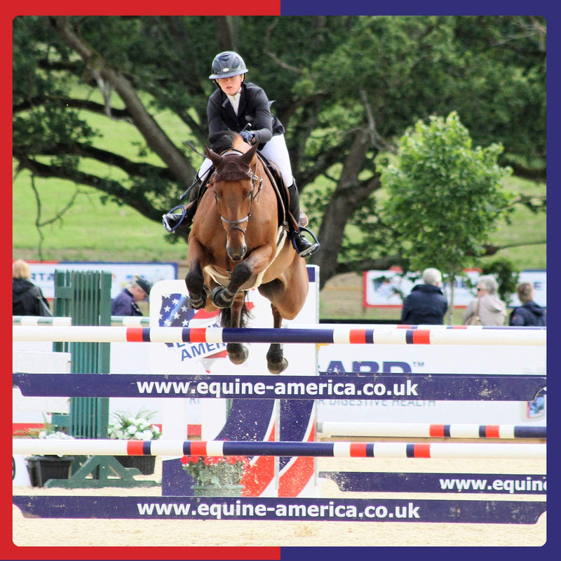 Equine America Airways Xtra Strength | Premium Ready To Use Horse & Pony Supplement | For Respiratory Support | 500g - PawsPlanet Australia