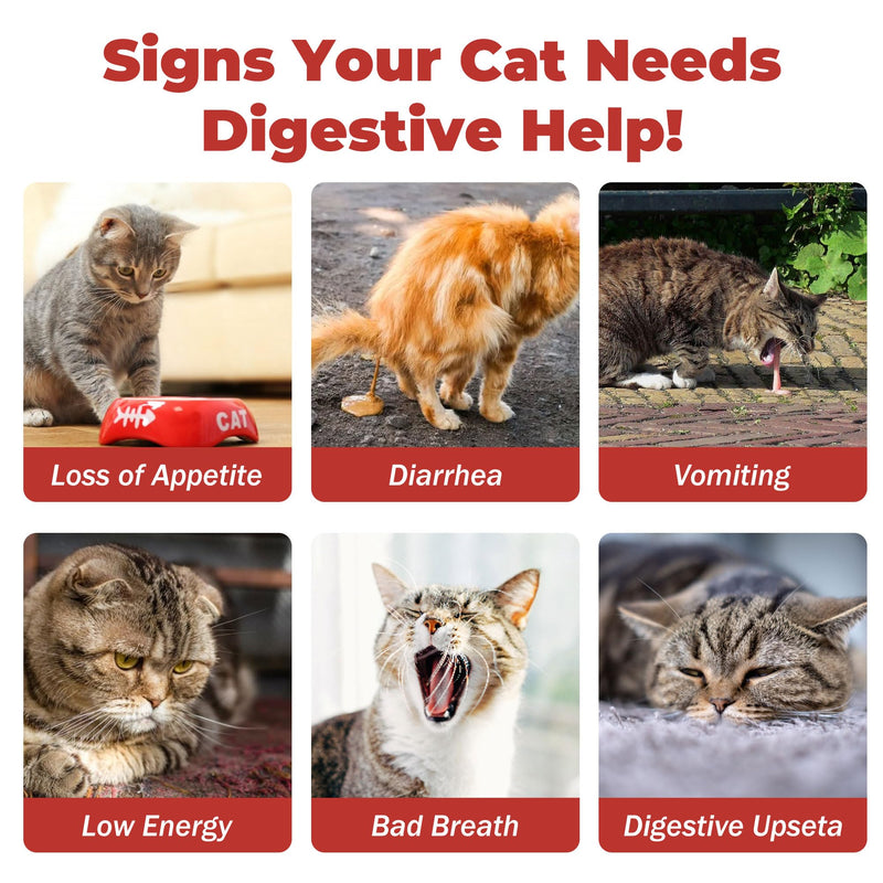 Probiotics for Cats & Digestive Support Gel – Cat Probiotic with Prebiotics, Taurine & Papain – Supports Gut Balance, Digestive Support & Immune Health – for Kittens & Adult Cats, Constipation Relief