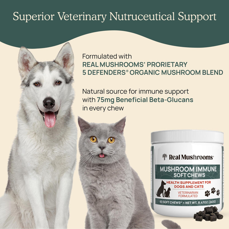 Mushroom Immune Support Pet Chews 60ct Treats for Dogs Booster Supplements Pets with Ashwagandha, Astragalus, Blueberry, Olive Leaf, Acerola Gut Health and Cats - PawsPlanet Australia