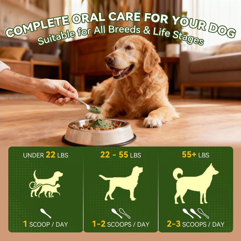 Dog Dental Powder for Plaque and Tartar Support - No Brushing Teeth Cleaning Powder with Probiotics & Natural Kelp | Fresh Breath Dog Oral Care for All Breeds | 1.76oz (50g) 1.76 oz