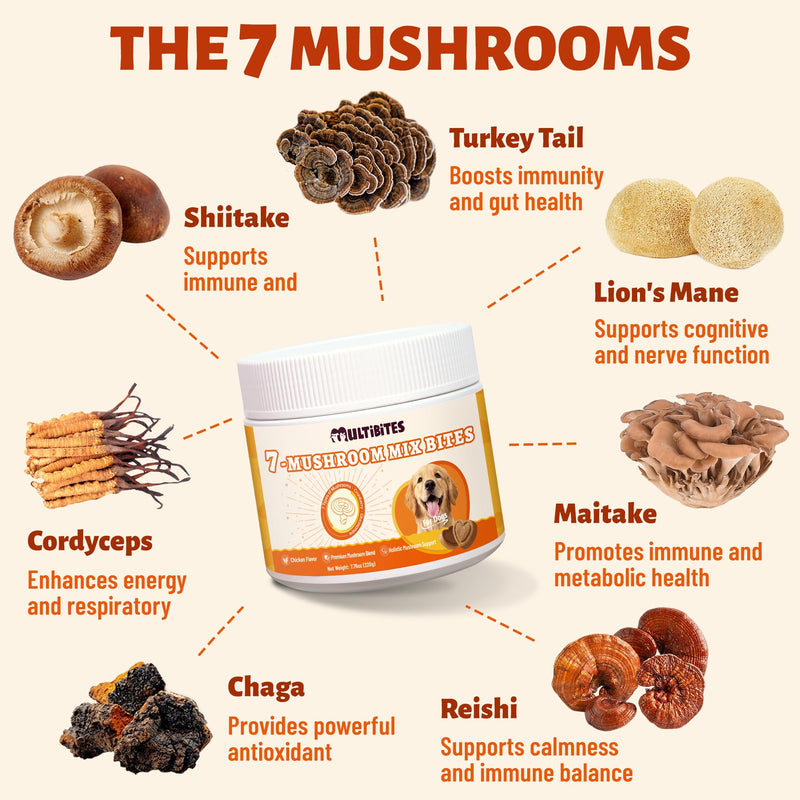 Mushroom Supplement for Dogs - Supports Antioxidant & Immune Defense, Gut, Skin, Joint & Urinary Tract Health, 7-Mushroom Complex (Turkey Tail, Lion's Mane, Reishi & 4 Others) – 330 Chews