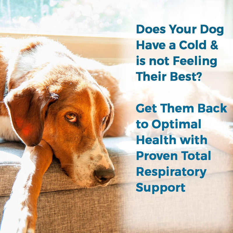BestLife4Pets Breathe Easy Respiratory Support for Dogs - Natural Relief for Kennel Cough, Runny Nose, Sneezing and Sinus Congestion - Non-drowsy, Easy to Use (450 Pills) - PawsPlanet Australia