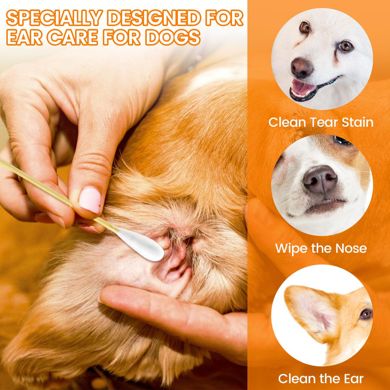 200 PCS Large Cotton Swabs in Storage Box - Dog Ear Cleaning Swabs, 6 inch Dog Ear Swab with Bamboo Handle - Big Cotton Swabs Soft and Thick, Extra Large Cotton Swabs Specially Designed for Pet Care 200PCS - PawsPlanet Australia