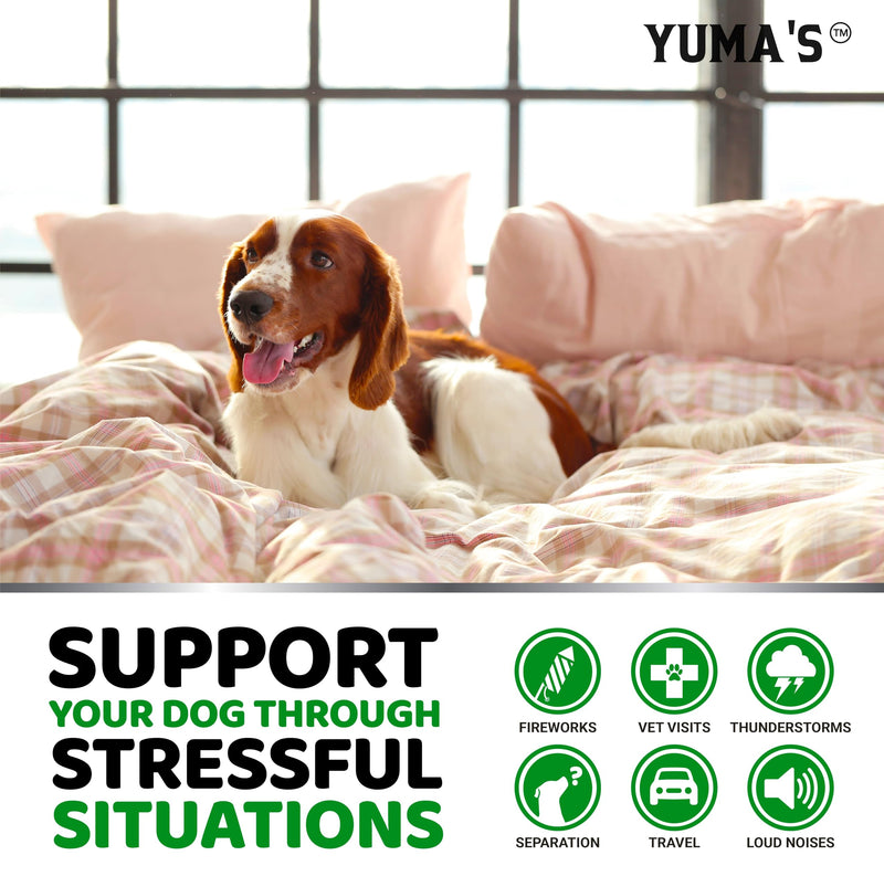Hemp Calming Chews for Dogs - Advanced Dog Calming Chews - 170 Chews - Anxiety Relief Treats - Separation Aid, Barking, Stress Relief, Thunderstorms - Melatonin - Hemp Oil - Made in USA Hemp Calming Chews