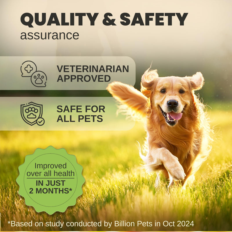 Billion Pets - Hemp Oil for Dogs and Cats - Helps with Anxiety, Pain, Stress, Sleep, Arthritis, Seizures Relief - Hip and Joint Support - Calming Drops 2 Pack