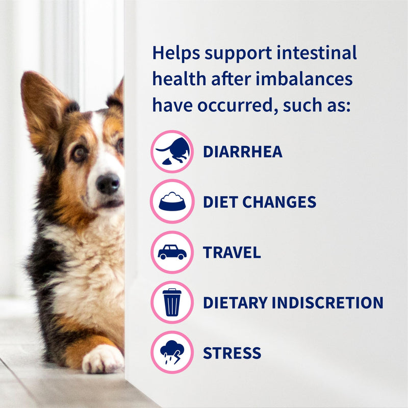 Nutramax Proviable Probiotics for Small Dogs and Cats, Diarrhea Support Kit, Digestive Health Supplement with Multiple Strains of Bacteria, Plus Prebiotics, Kaolin and Pectin, 15 ml Paste and 10 Capsules Small Dog/Cat (Under 20 lbs) - 15 ml (Pack of 10)