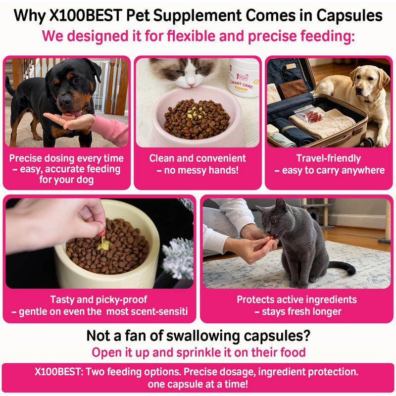 Dogs & Cats Heart Supplement with Taurine & Ubiquinol CoQ10 (Reduced Form) – Cardiac Support, Omega-3 Fish Oil, Antioxidants, Senior Myocardial Energy & Circulation Support – 100 Softgels