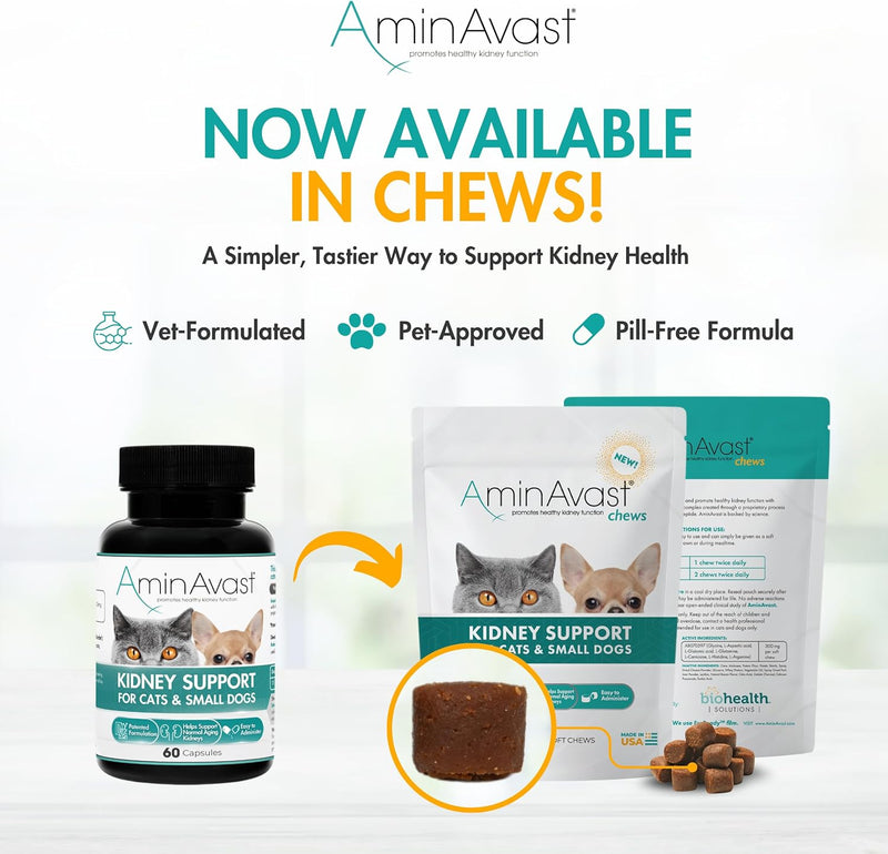 AminAvast Kidney Support Supplement for Cats and Dogs, 300mg - Promotes Natural Kidney Function - Aids in Health and Vitality of Aging Kidneys - Easily Administered - 60 Sprinkle Capsules - NewNest Australia