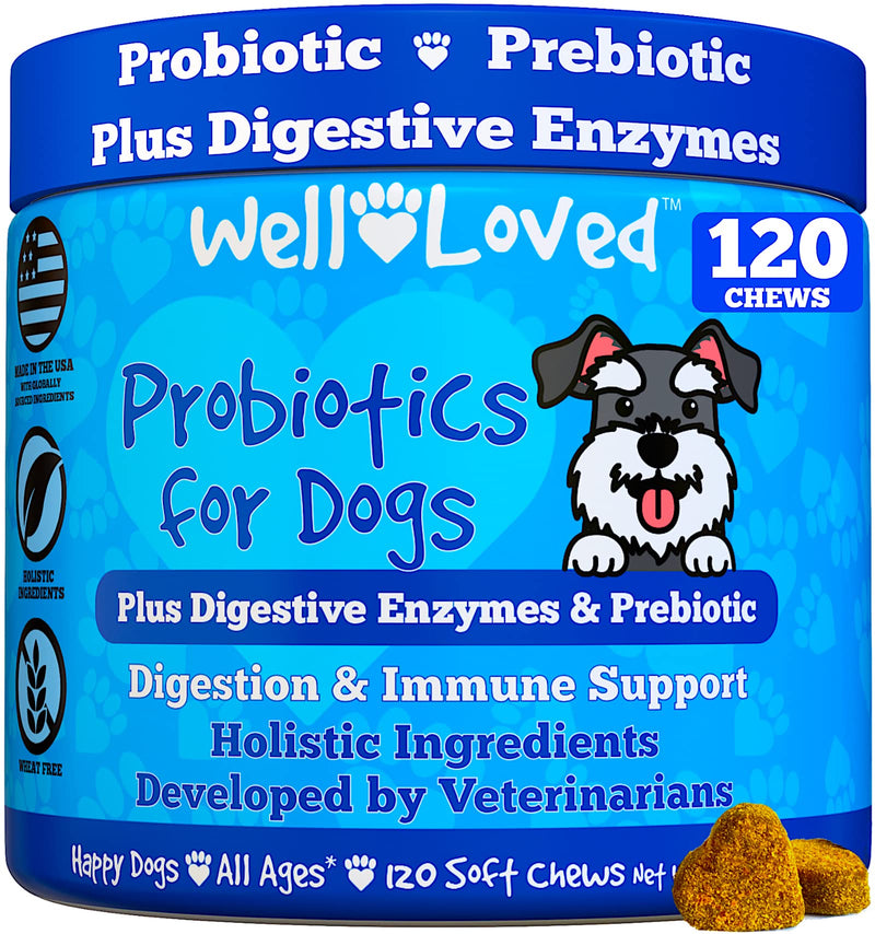 Probiotics for Dogs and Joint Supplement for Dogs, Well Loved Dog Chews, Made in USA, Vet Developed, Dog Probiotic Chews, Glucosamine for Dogs - PawsPlanet Australia