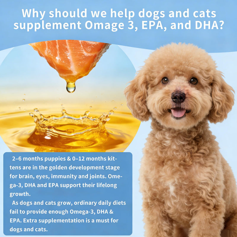 Omega 3 Fish Oil for Dogs, 80 Capsules, Rich in EPA and DHA, Improves Dry Skin, Dandruff, Itching, Reduce Shedding, Supports Cardiovascular and Joint Health, Suitable for Cats and Dogs (1 Bottle) 1 Bottle (80pcs in total)