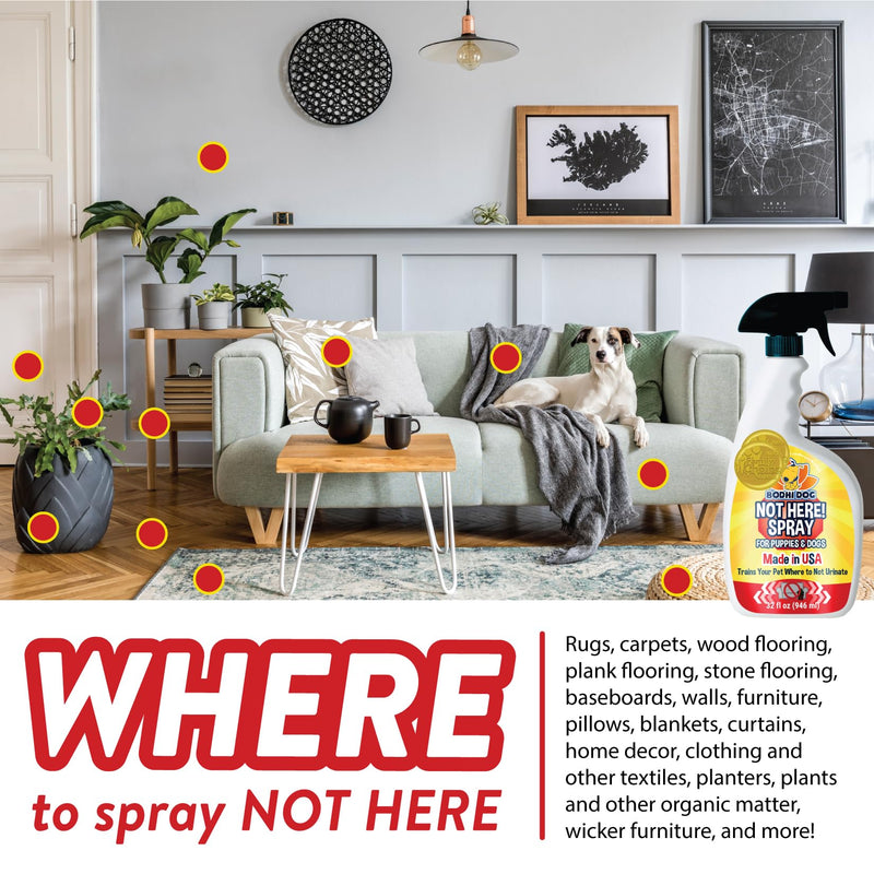 Bodhi Dog Pet Carpet Powder - Fresh Linen 20oz + Not Here Spray! 32oz Bundle