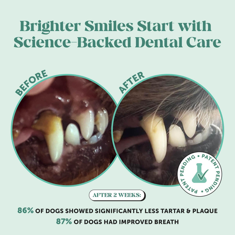 Pet Honesty Dog Dental Care Virtual Bundle – Breath Freshener Dental Powder for Large Dogs (60 Servings) + Brush Buddies Dental Sticks for Medium Dogs (15 Ct) – Teeth Cleaning, Plaque & Breath Support