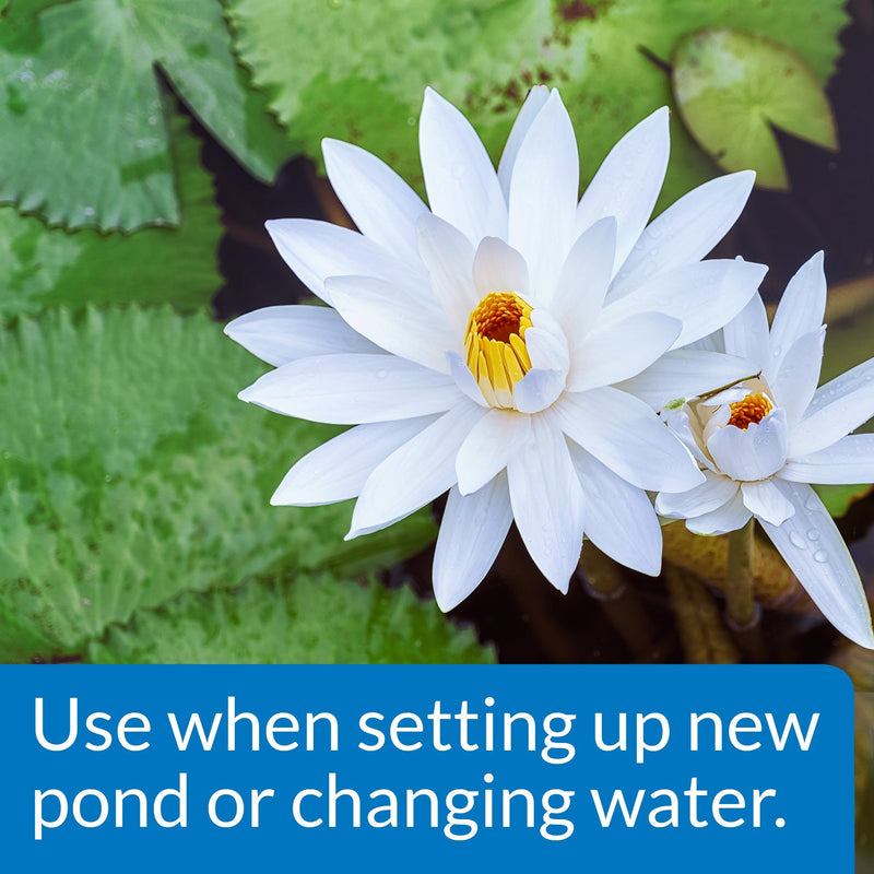 API POND CHLORINE & HEAVY METAL NEUTRALIZER Pond Water Neutralizer 16-Ounce Bottle