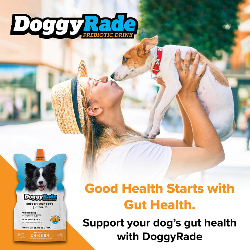 DoggyRade – Dog Sports Drink (Prebiotic, Isotonic Drink for Dogs) | Electrolytes, Nutrients & Amino Acids | Quick Hydration Drink for Dogs + Low Cal | More Than Just Water! | Chicken Flavor | 3x250ml DoggyRade (250ml x 3)