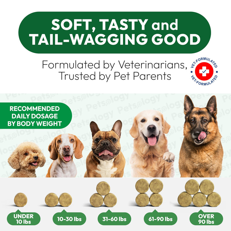 Dog Allergy Relief Chews - 170 Dog Allergy Chews - Itch Relief for Dogs - Omega 3 Fish Oil, Probiotics For Itchy Skin & Hot Spots Allergies, Paw Licking, Dry Skin & Coat Supplement - Beef Liver Flavor 170 Chews Allergy Skin & Coat Chews