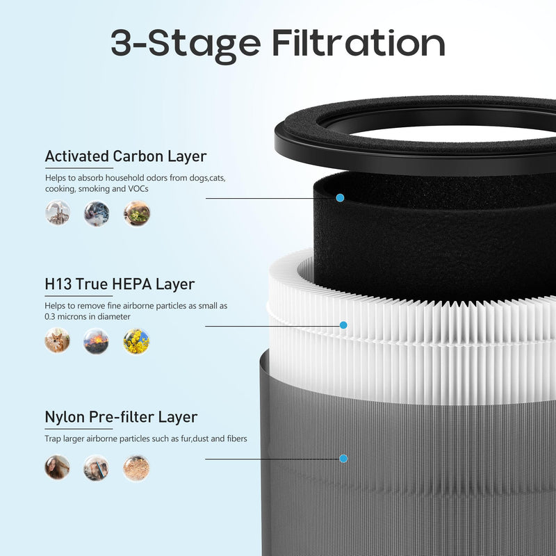 2 Packs Airmega 50 Replacement Filters for Coway Airmega 50 Air Purifier