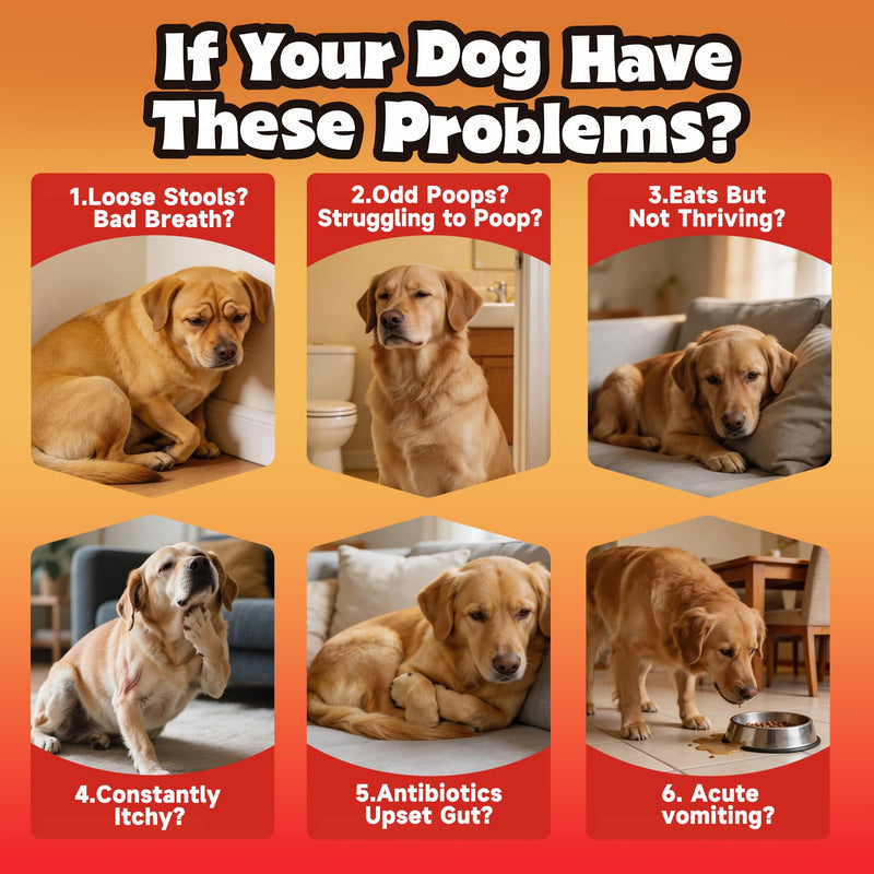 Probiotics for Dogs - Improve Gut Health, Digestive, Immunity, Yeast Balance, Solid Stool - with Prebiotics - Reduce Diarrhea, Gas, Bad Breath, Constipation, Allergy - Ideal for Senior Dogs (5+ Years)