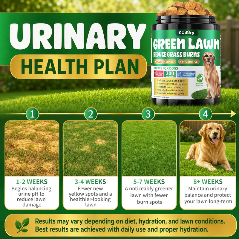 Dog Urine Neutralizer for Lawn - Green Grass Chews for Dogs, 200 Chew Female Pee Grass Burn Spot by Dog Urine, Gut Health Probiotics & Enzymes, Helps Yard Stay Green, with Cranberry for Urinary Tract