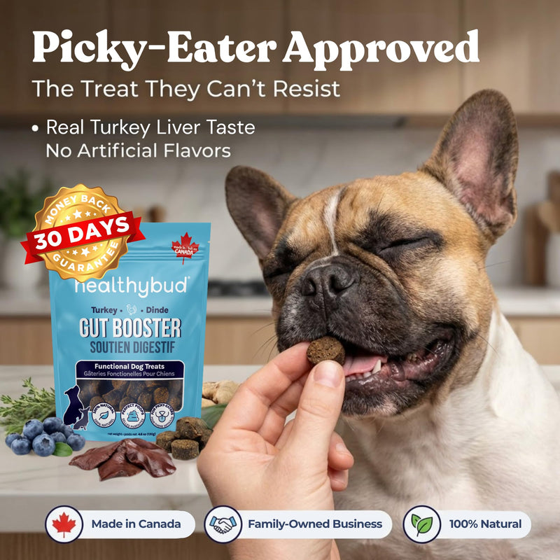 Healthybud Dog Probiotic Chews – Digestive & Gut Health Support – Prebiotic, Fiber, Pumpkin & Sweet Potato – Stool Hardener & Sensitive Stomach Relief – Made in Canada (4.6oz) 4.6 Ounce (Pack of 1)
