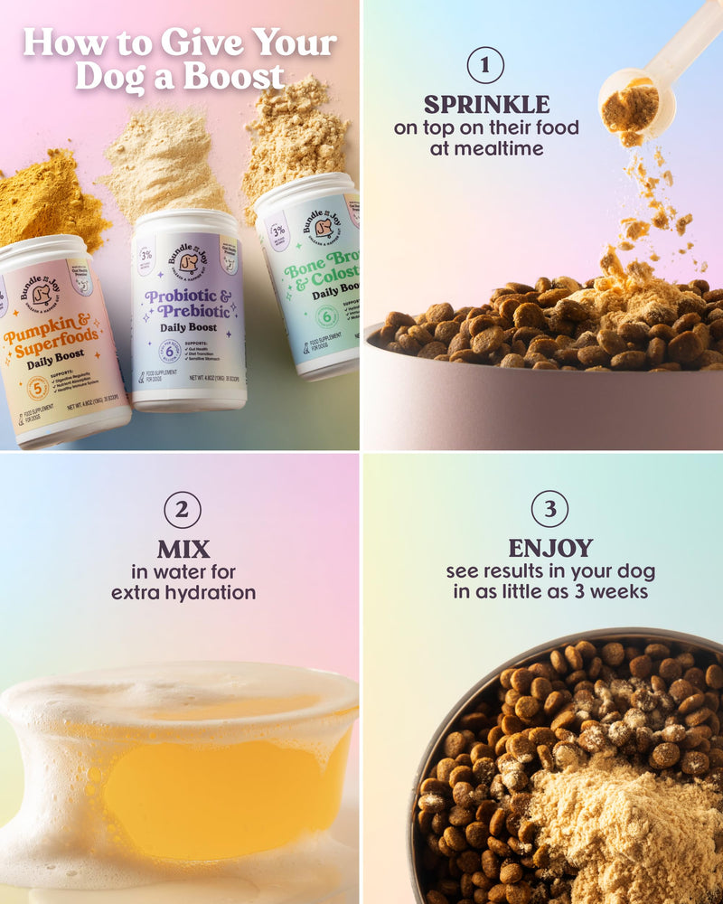 Bundle x Joy Superfoods with Pumpkin for Dogs Daily Boost, Vegan Digestive Support, Gut Health for Dogs, Supports Stomach Upset & Loose Stools, Dog Supplements Made in USA - 35 Scoops