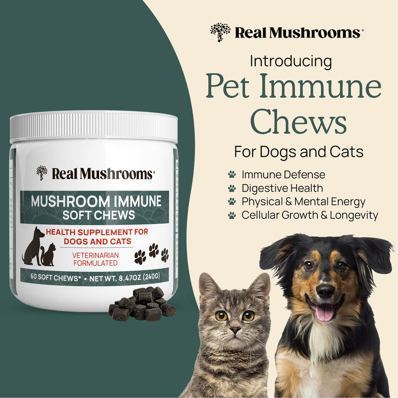 Mushroom Immune Support Pet Chews 60ct Treats for Dogs Booster Supplements Pets with Ashwagandha, Astragalus, Blueberry, Olive Leaf, Acerola Gut Health and Cats - PawsPlanet Australia