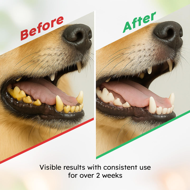 Dog Teeth Cleaning Powder - Dog Breath Freshener + Dental Care for Doggies & Cats + Tartar Remover for Teeth with Natural Ingredients + Probiotics Blend (Mint - 200g) 7.05 Ounce (Pack of 1)