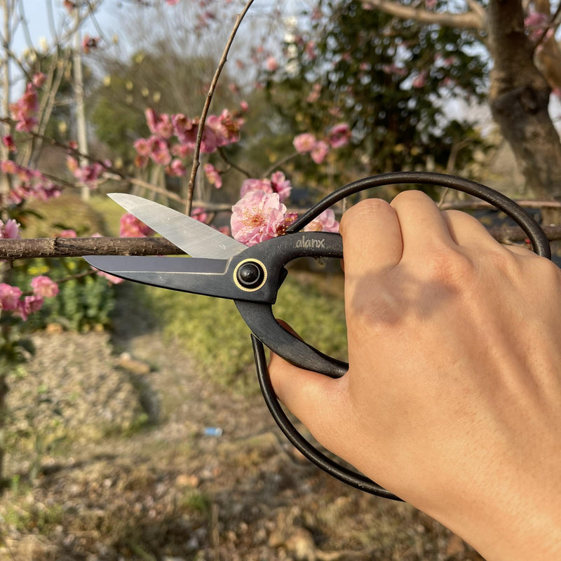 8 Inch Full-Steel Forged Precision Long Ohkubo Garden Shears – Ultra-Sharp Bypass Pruner for Delicate Shoots & Leaves