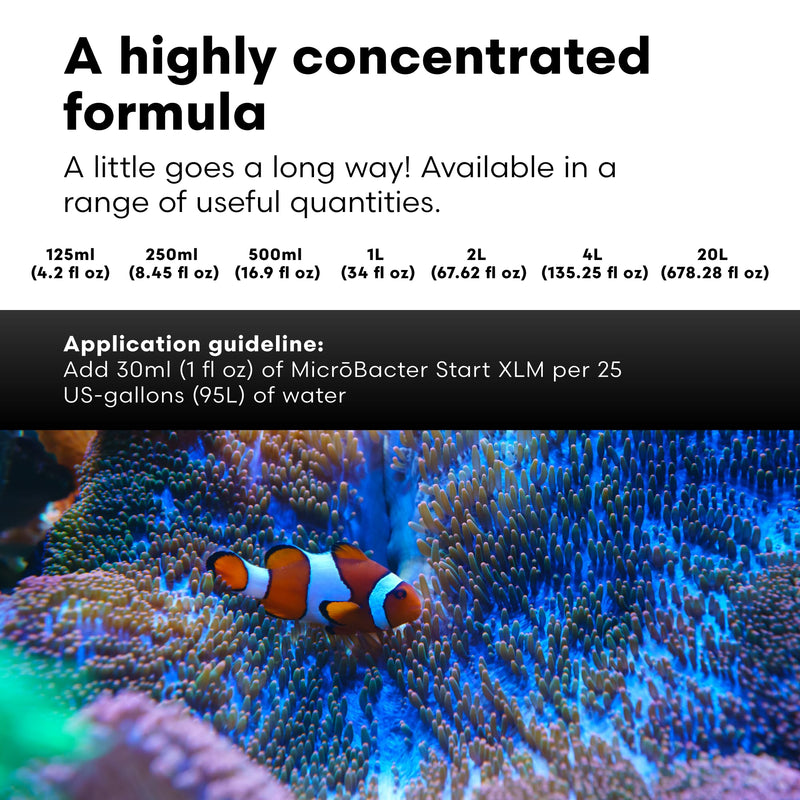 Brightwell Aquatics MicroBacter Start XLM - Concentrated Freshwater Nitrifying Bacteria - Quick Start Fish Tank Starter, Lift Microbe Levels & Water Filtering - Aquarium Water Treatments, 4.22 fl oz 125-ML