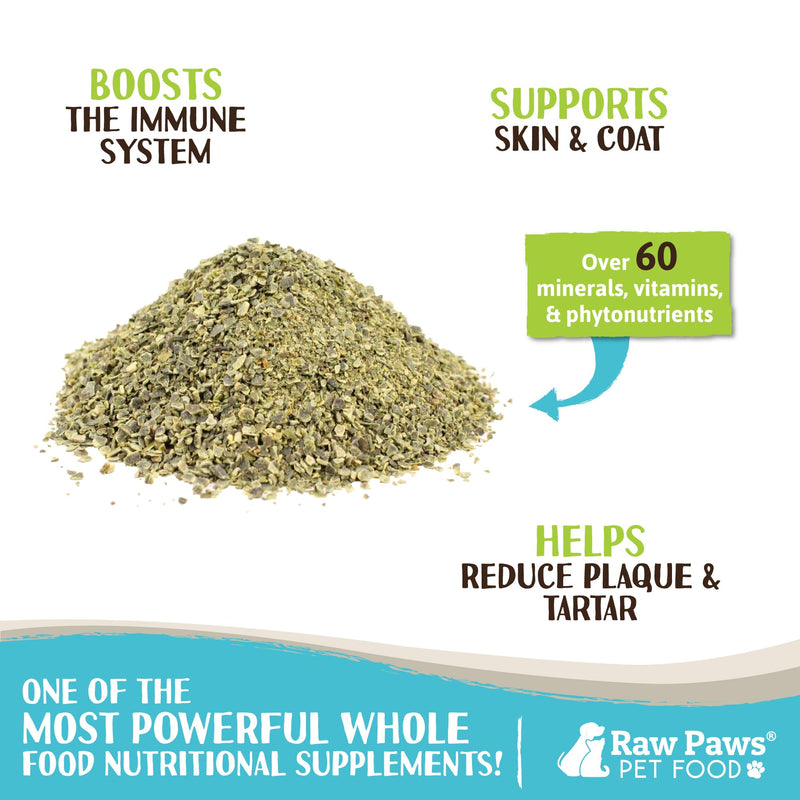Raw Paws Organic Kelp for Dogs & Cats, 16-oz - Iodine Rich for Thyroid, Digestive & Immune Health - Seaweed Powder for Dogs, Sea Kelp for Cats, Kelp Supplement for Dogs, Dried Kelp Powder for Dogs 16 oz - PawsPlanet Australia