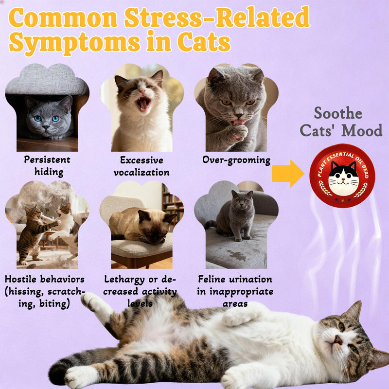 xcivi Pop Patch for Cat Calming Diffuser, Cat Anxiety Relief Stress Reduction, Cat Calming Pheromones Help Anxiety, Enhanced Calming, Cat Calming Patches for Travel, Car & Home Use