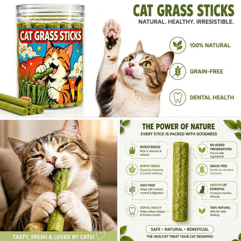 Cat Grass Teething Sticks for Indoor Cats - Freeze Dried Chew Toy for Hairball Control & Teeth Cleaning, 3oz Resealable Jar of Cat Grass Sticks 3 oz