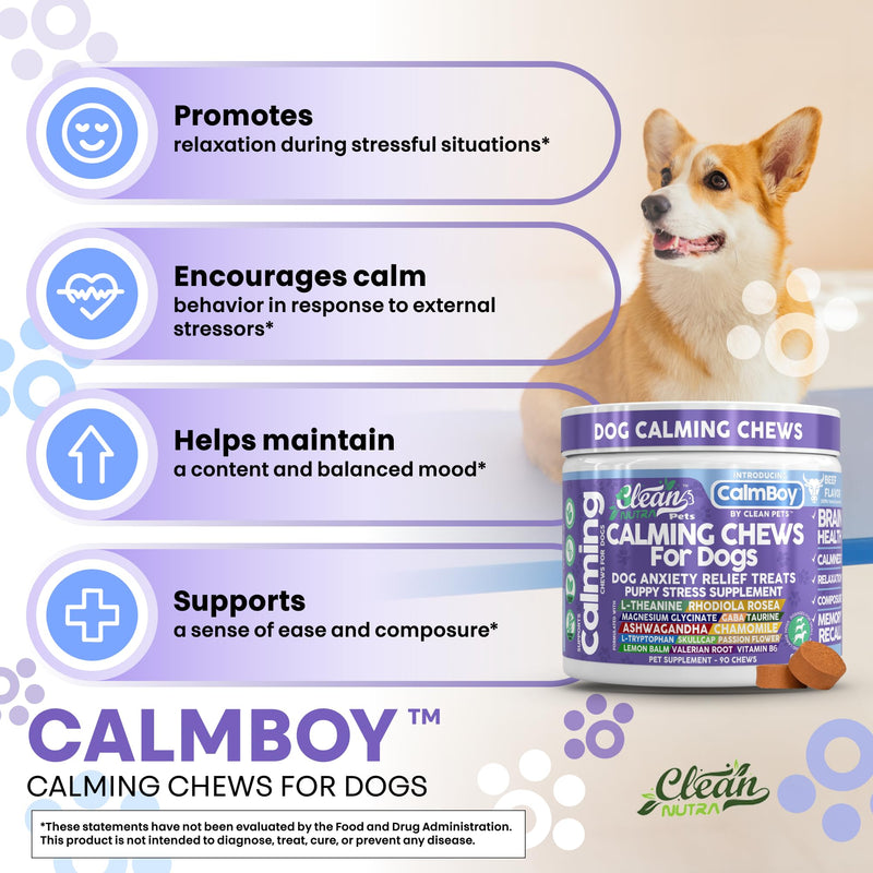 Clean Nutra Calming Chews for Dogs, Dog Anxiety Relief Supplement, L Theanine Ashwagandha Rhodiola GABA Magnesium Valerian Natural Ingredients, 90 Chews, Beef Flavor