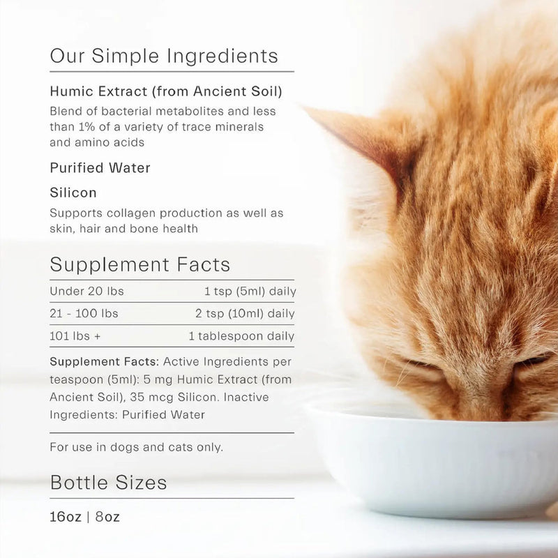 ION Intelligence of Nature Gut Support for Pets | Strengthens Digestion, Supports Kidneys, Aids Immune Function, and Defends from Food Toxins (8 Ounce) 8 Ounce