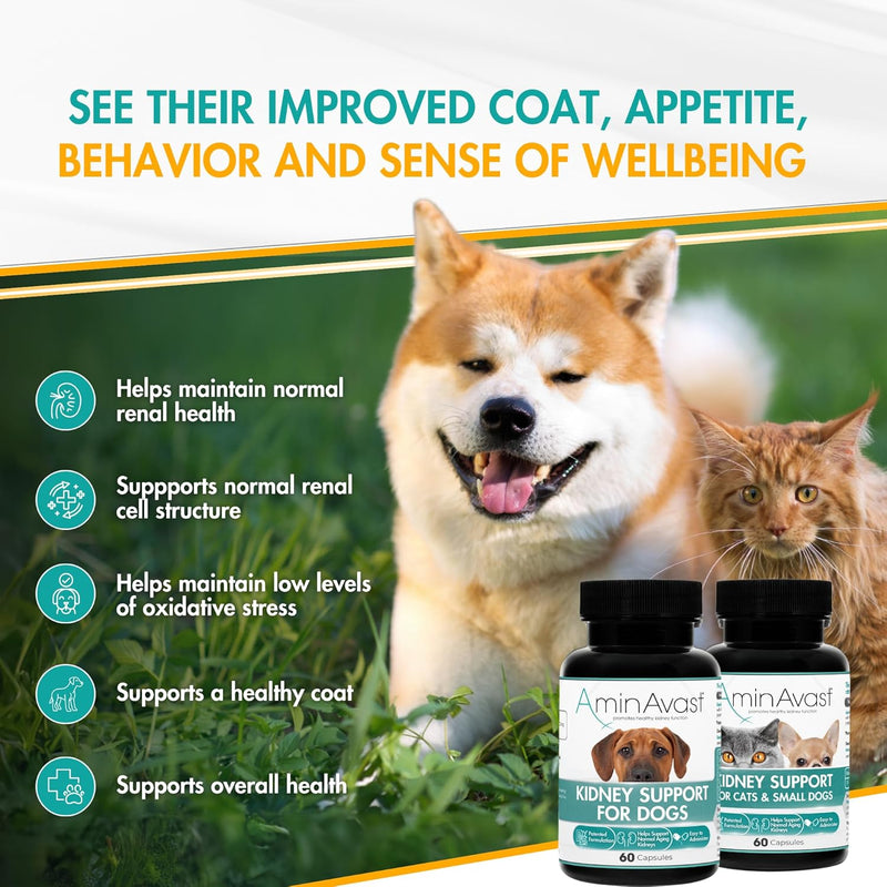 AminAvast Kidney Support Supplement for Cats and Dogs, 300mg - Promotes Natural Kidney Function - Aids in Health and Vitality of Aging Kidneys - Easily Administered - 60 Sprinkle Capsules - NewNest Australia