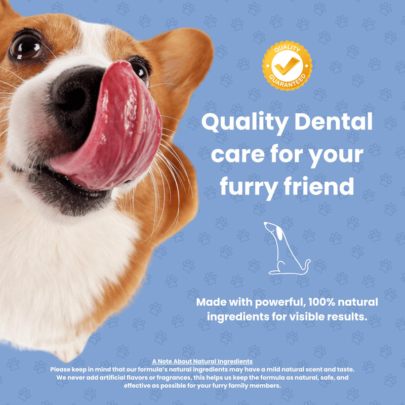 Dog Dental Powder - Unflavored Oral Care Support - Helps Freshen Breath and Manage Plaque and Tartar - Mix with Daily Food - Natural Ingredients, GMO-Free - 3.17 oz (90 g)