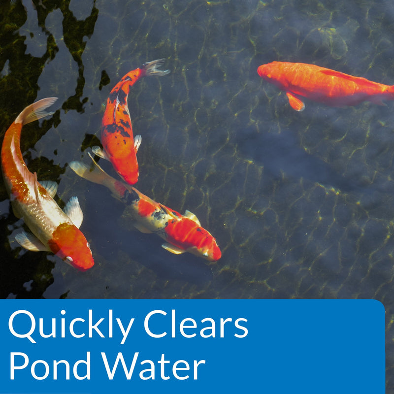 API POND ACCU-CLEAR Pond Water Clarifier 16-Ounce Bottle Pond Treatment 16 oz