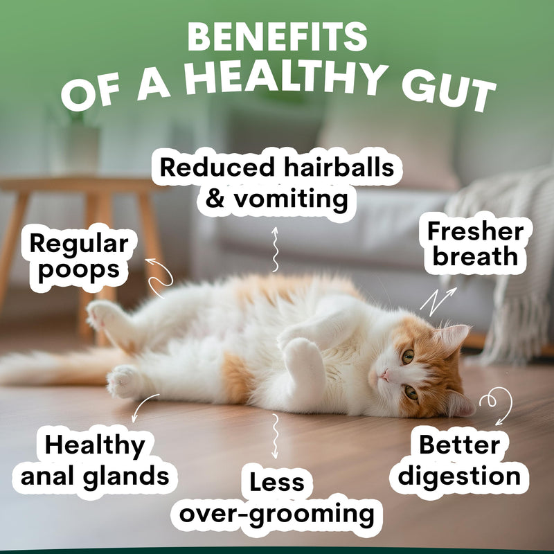 Cat Probiotic and Dog Probiotic Bundle