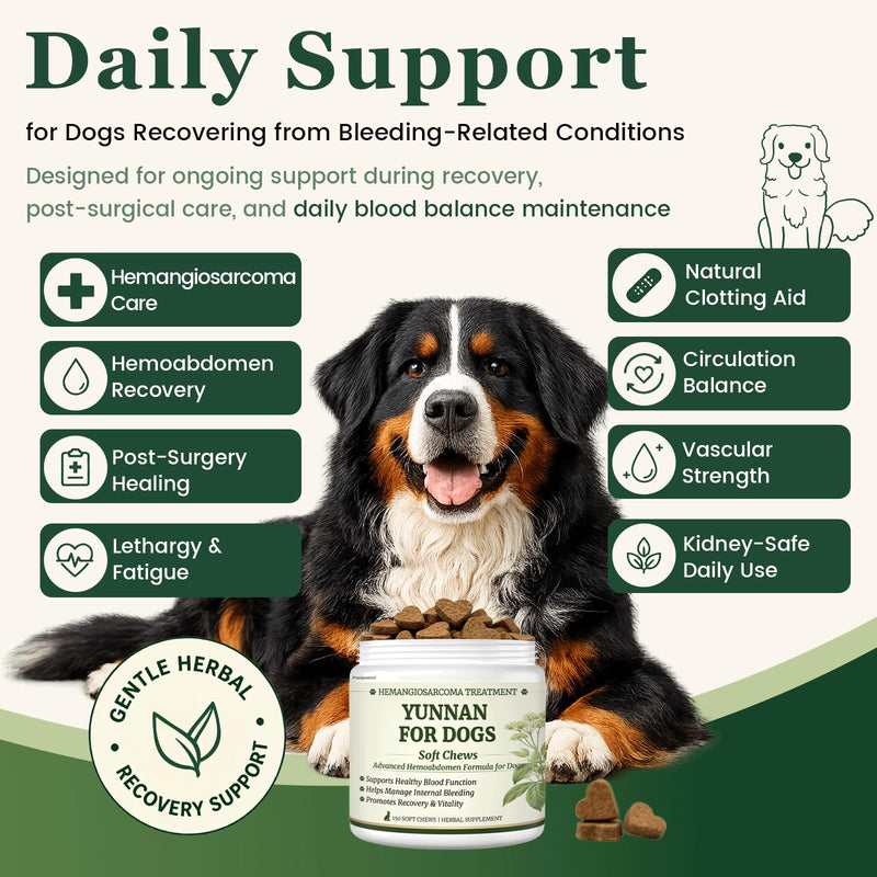 Herbal Yunnan Sanqi Soft Chews for Dogs, Stop Bleeding & Blood Builder for Hemangiosarcoma, Hemoabdomen, Cancer Bleeding, Kidney - Safe Daily Support for Long - Term Care, Boosts Vitality&Energy-150ct
