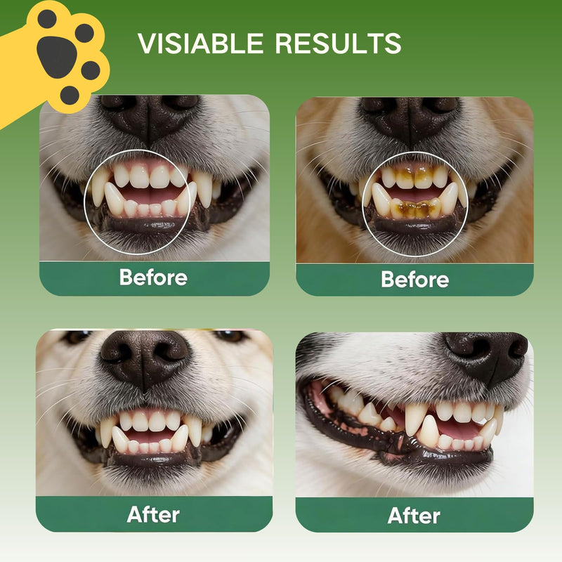 Dentaclean Spray for Dogs and Cats, Eliminate Bad Breath, Minimize Tartar Buildup, Supports Gums Oral Health, Dental Spray with Probiotics, Calendula Extract, Fresh Breath, No Brushing(100ml)