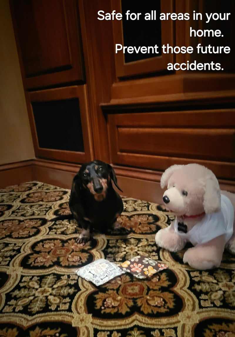 Dog Marking Prevention - Indoor -Permanent - Effective - Stops Dogs from Marking or Peeing - eliminates a pet urge to Mark- Put Bag Down and Your Problem is Solved (White(Rainbow Paws)) - PawsPlanet Australia