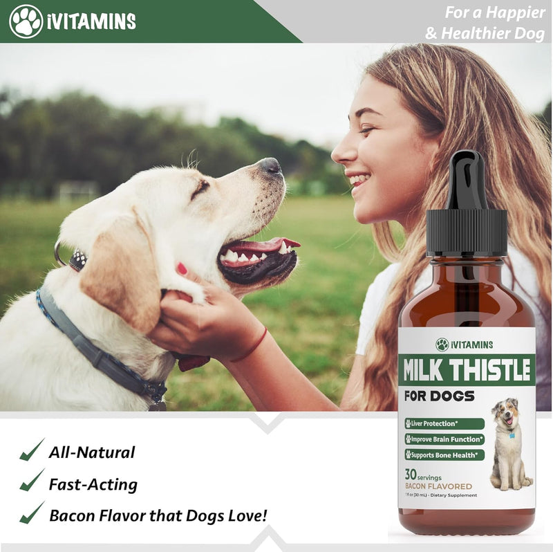 Milk Thistle for Dogs - Supports Liver and Kidney Health - Milk Thistle for Dogs Liver Support - Dog Milk Thistle - Dog Liver Support - Dog Liver Supplement - Milk Thistle Supplement for Dogs - 1 oz